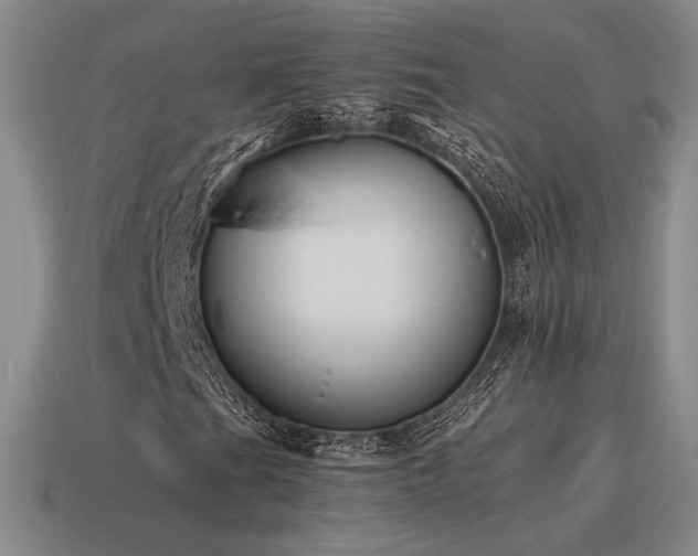 X0000115601201200911101358