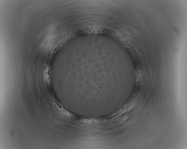 X0000115601202200911101358