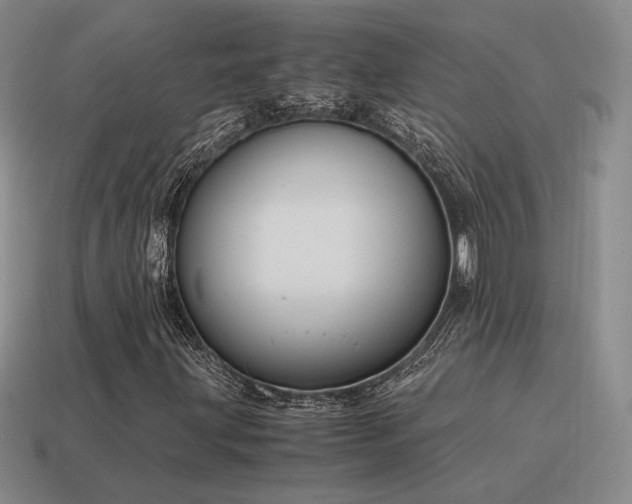 X0000115601203200911101358