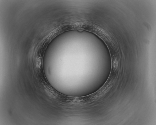 X0000115601204200911101358