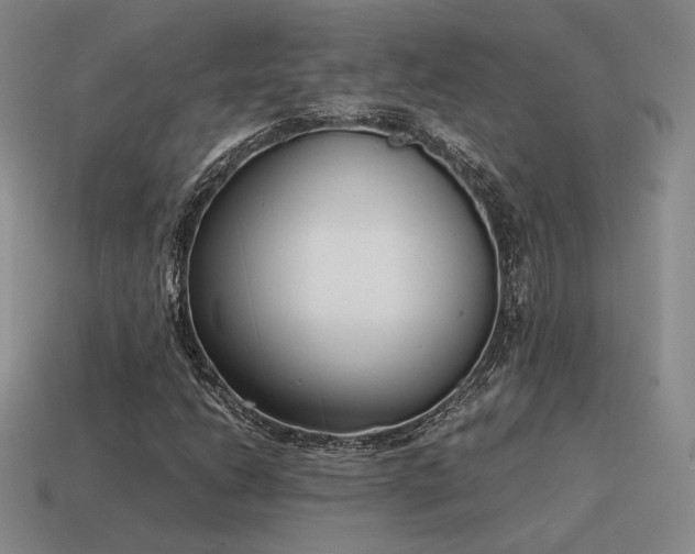 X0000115601206200911101358