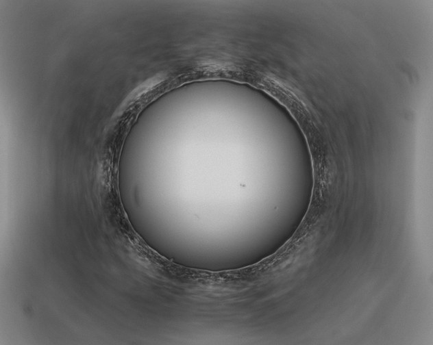 X0000115601207200911101358