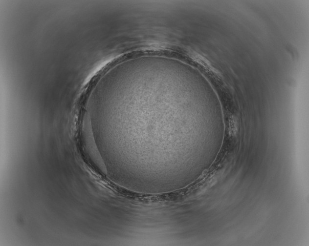 X0000115601208200911101358