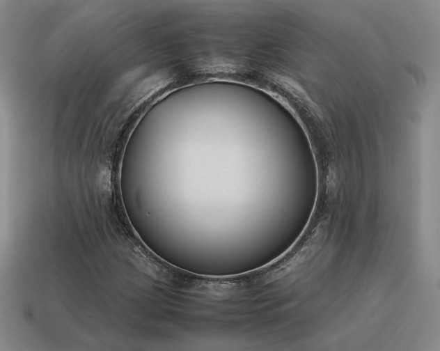 X0000115601209200911101358