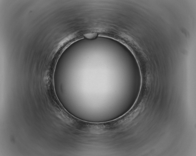 X0000115601210200911101358