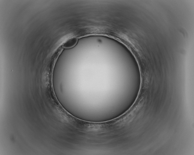 X0000115601211200911101358