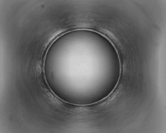X0000115601212200911101358
