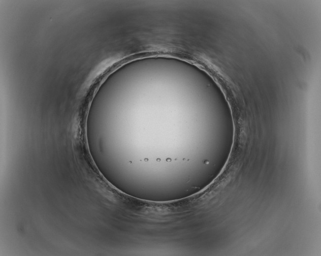 X0000115601215200911101358