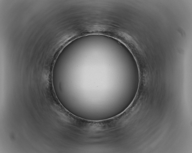 X0000115601217200911101358