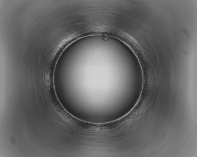 X0000115601218200911101358