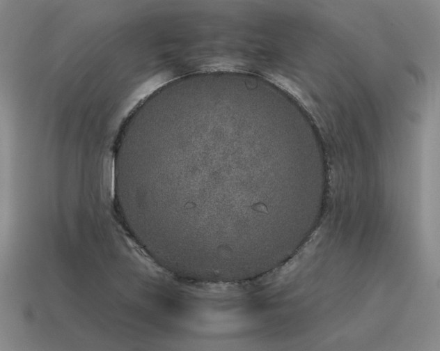 X0000115601219200911101358