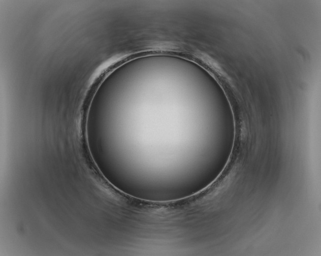 X0000115601222200911101358