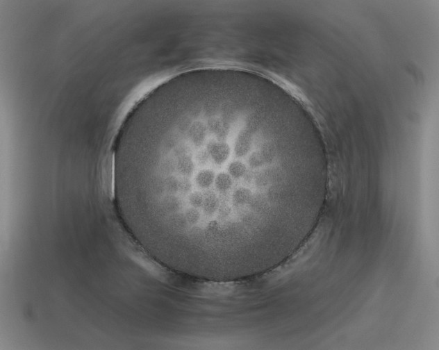 X0000115601223200911101358