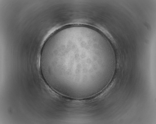 X0000115601224200911101358
