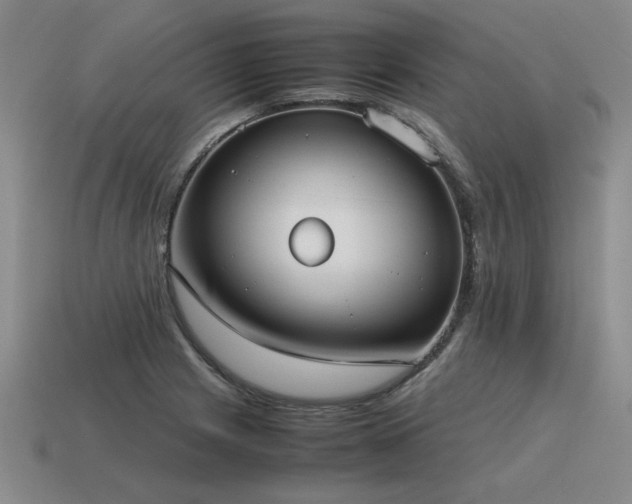 X0000115601225200911101358