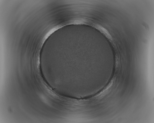 X0000115601226200911101358