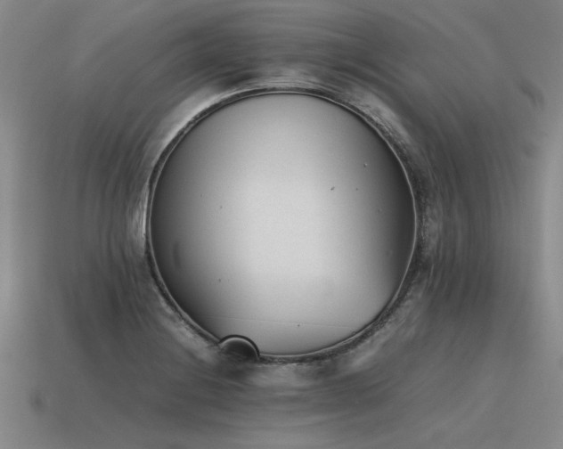 X0000115601228200911101358