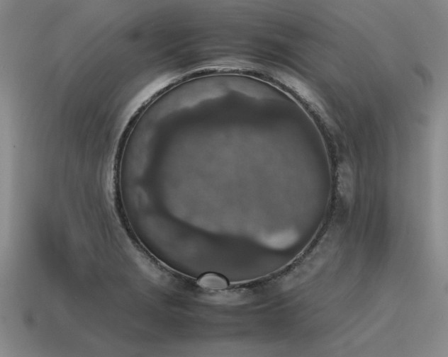 X0000115601229200911101358