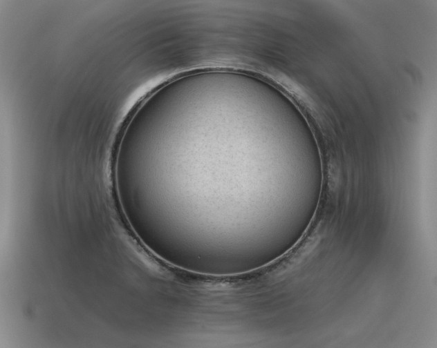 X0000115601230200911101358
