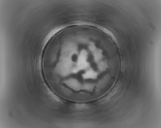 X0000115601231200911101358