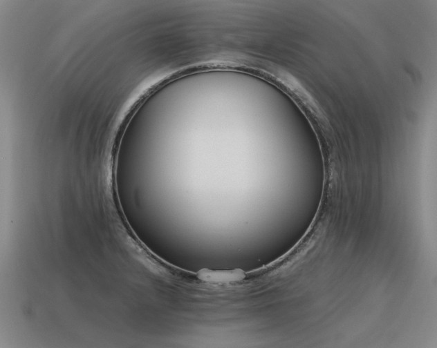 X0000115601232200911101358