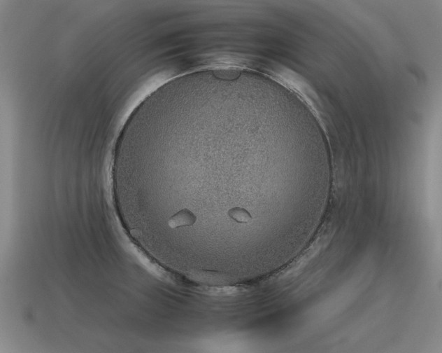 X0000115601235200911101358
