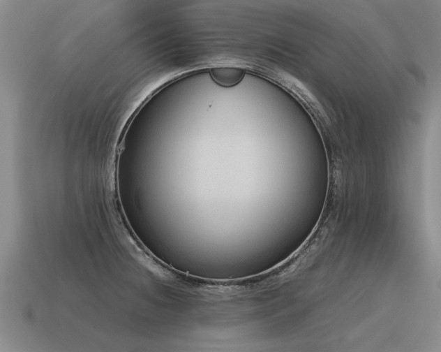 X0000115601236200911101358
