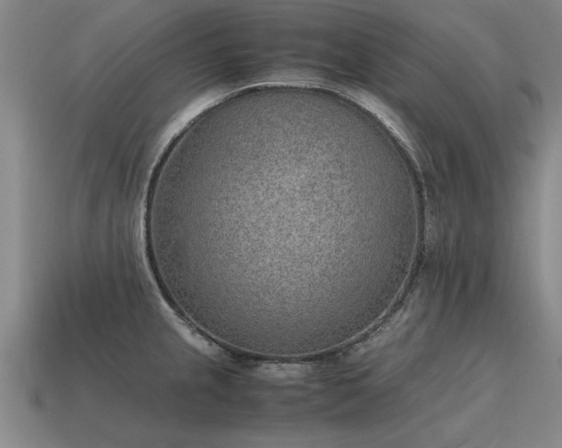 X0000115601237200911101358