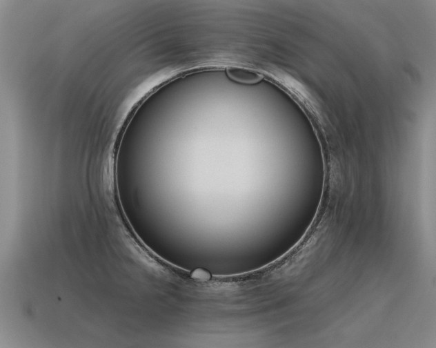 X0000115601238200911101359