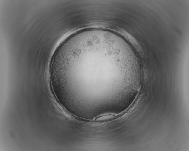 X0000115601240200911101359