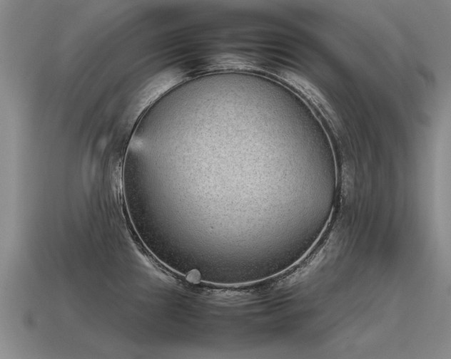 X0000115601241200911101359