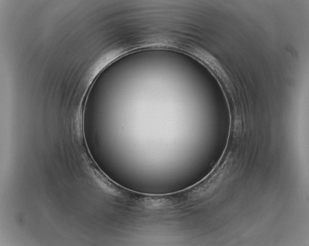 X0000115601242200911101359