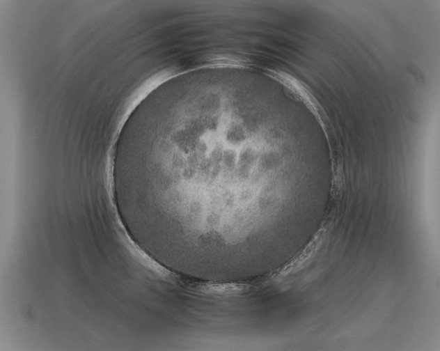 X0000115601243200911101359