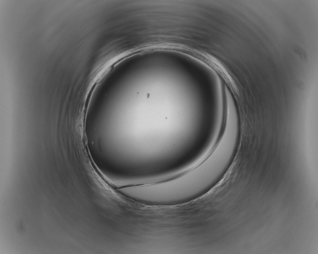 X0000115601244200911101359