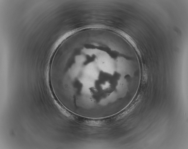 X0000115601245200911101359