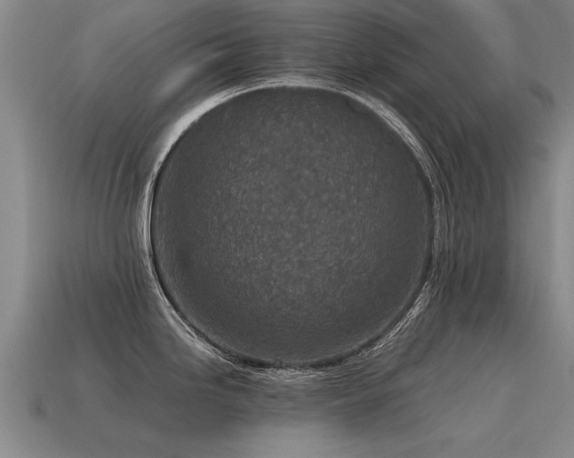 X0000115601246200911101359