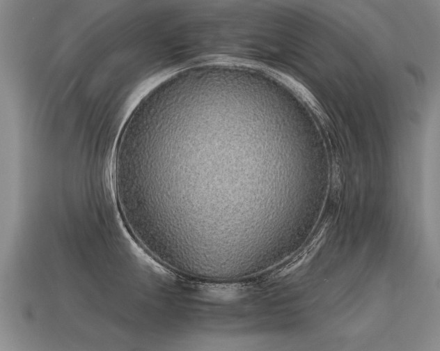 X0000115601247200911101359