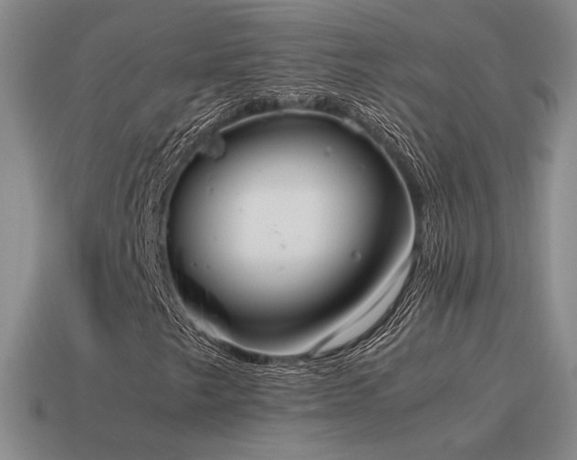 X0000115601249200911101358