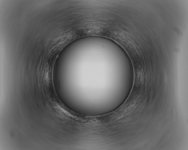 X0000115601250200911101358