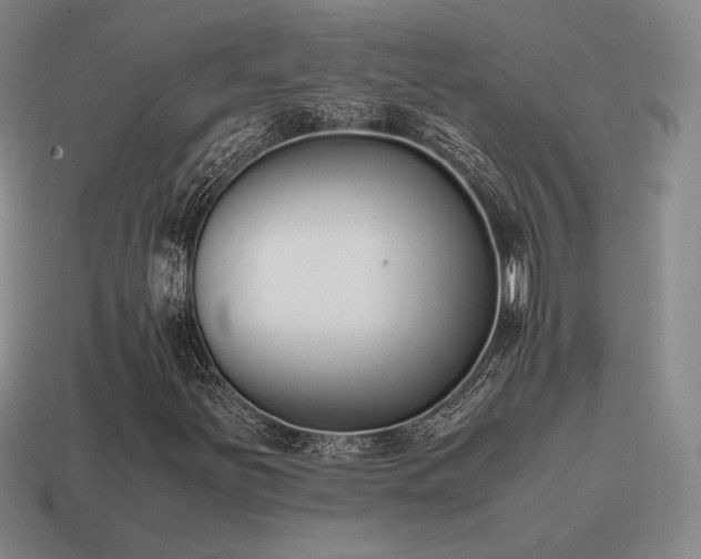 X0000115601251200911101358