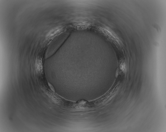 X0000115601252200911101358