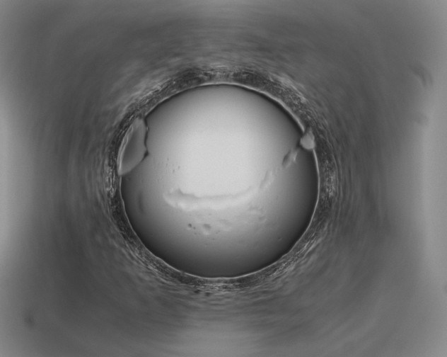 X0000115601253200911101358