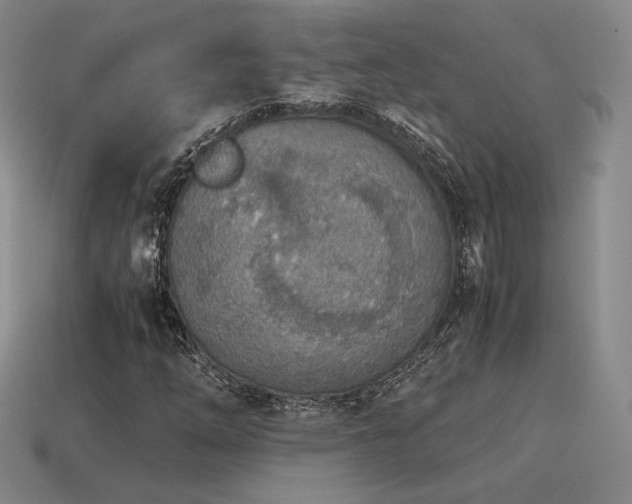 X0000115601254200911101358