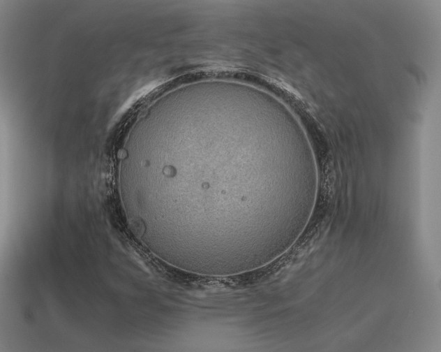X0000115601255200911101358