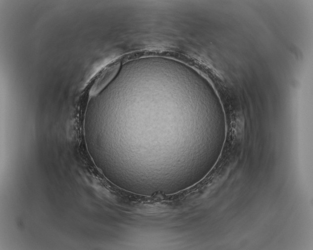 X0000115601256200911101358