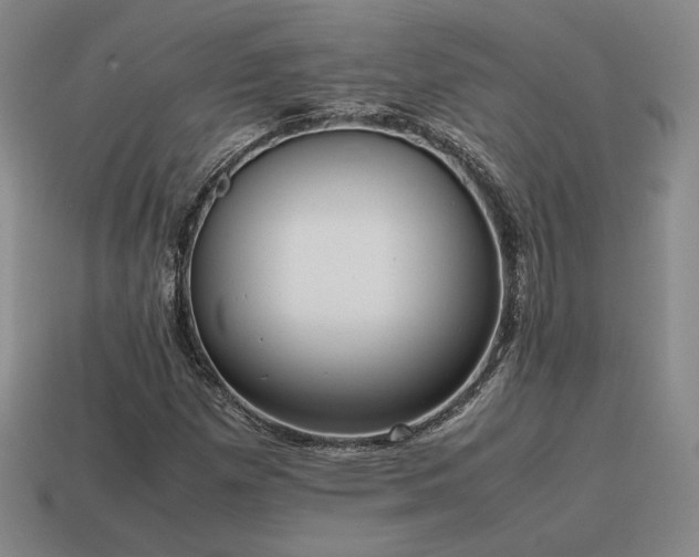 X0000115601257200911101358