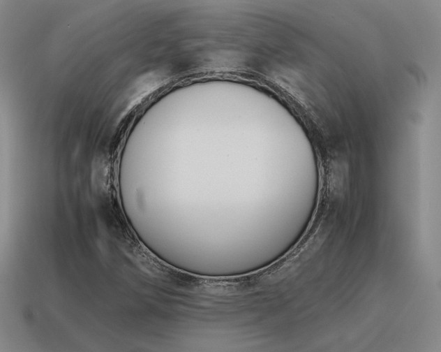 X0000115601258200911101358
