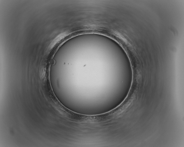 X0000115601259200911101358
