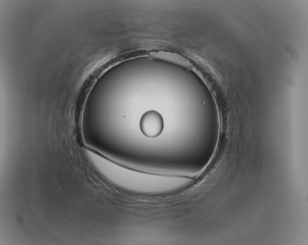 X0000115601261200911101358