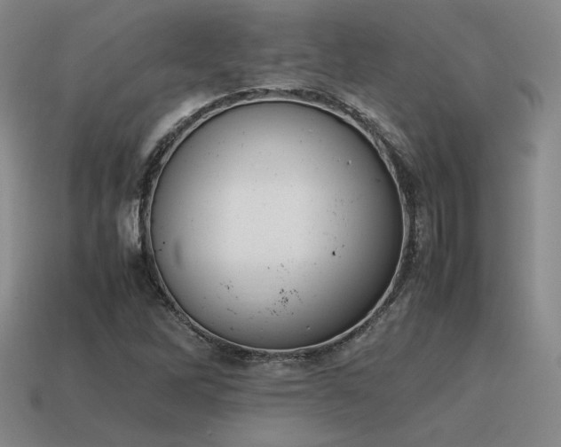 X0000115601262200911101358